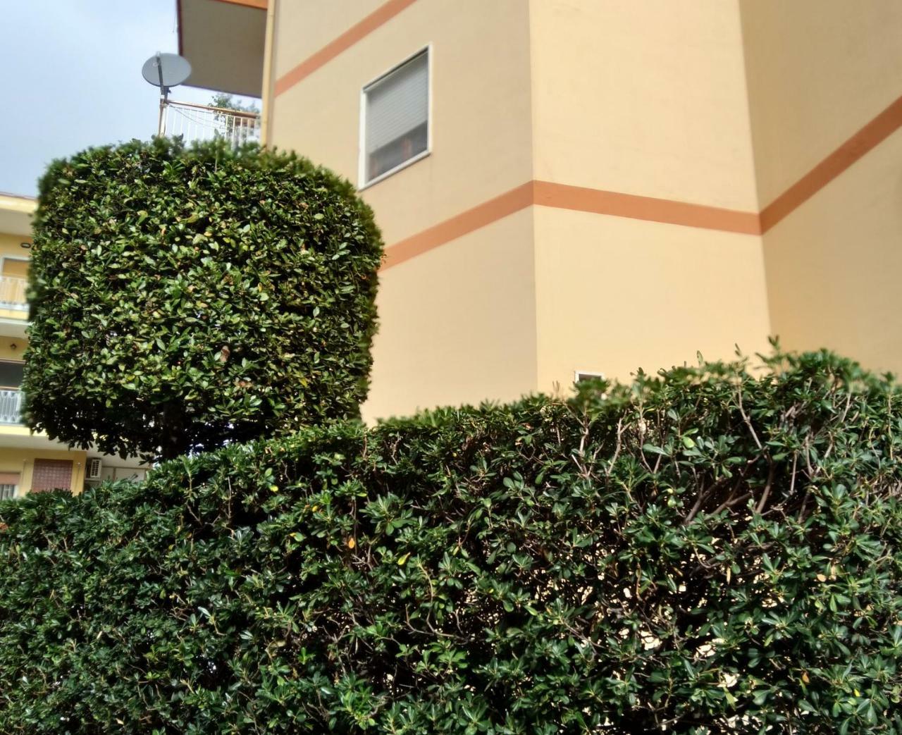 Federico'S House Διαμέρισμα Ερκολάνο Εξωτερικό φωτογραφία
